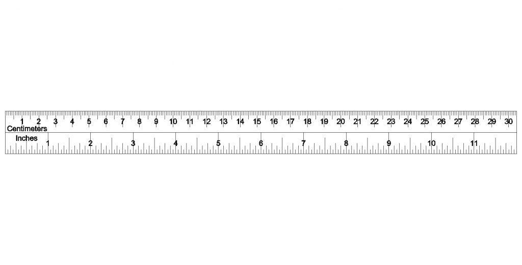 cm life size ruler