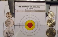 4×4 2″ Printable Target With Us Coin Scale – Bryon Gaskin