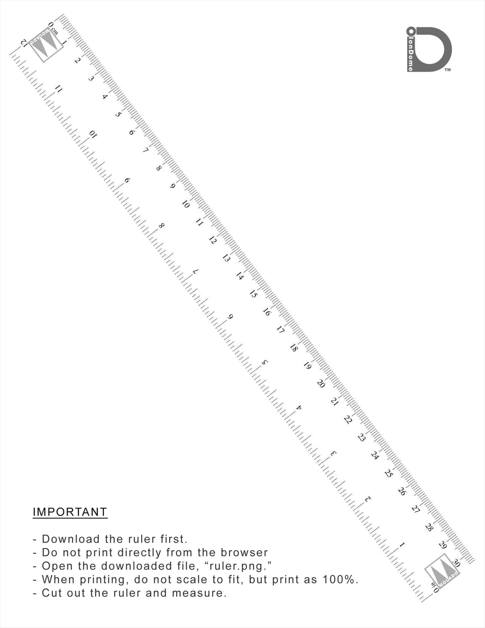 free printable rulers