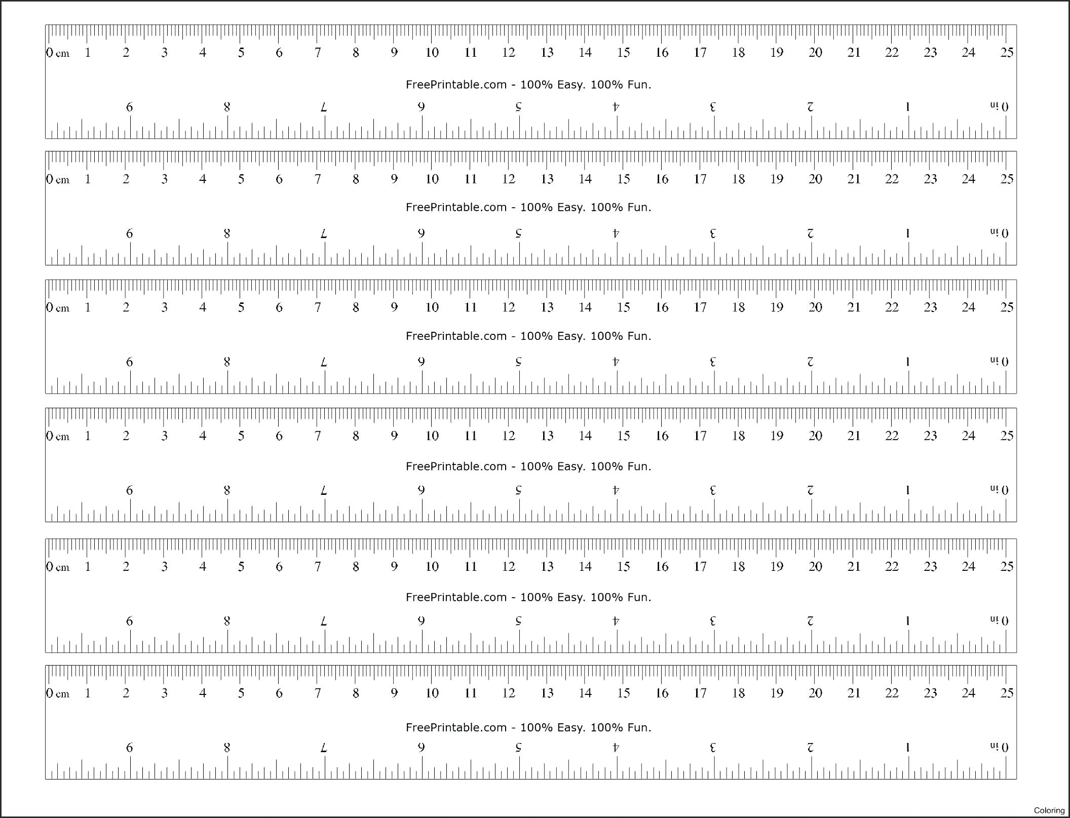 Ruler Inches and Centimeters Printable.