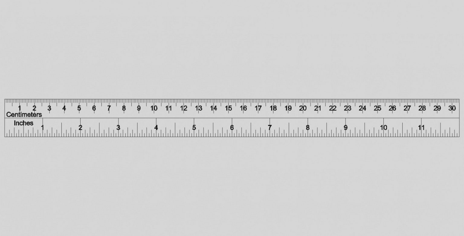 blank ruler templates printable shelter printable ruler actual size