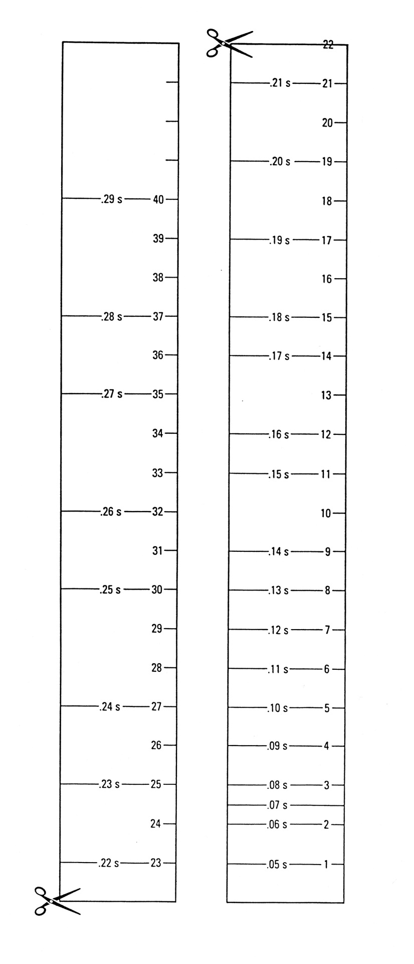 Blank Ruler Templates | Printable Shelter