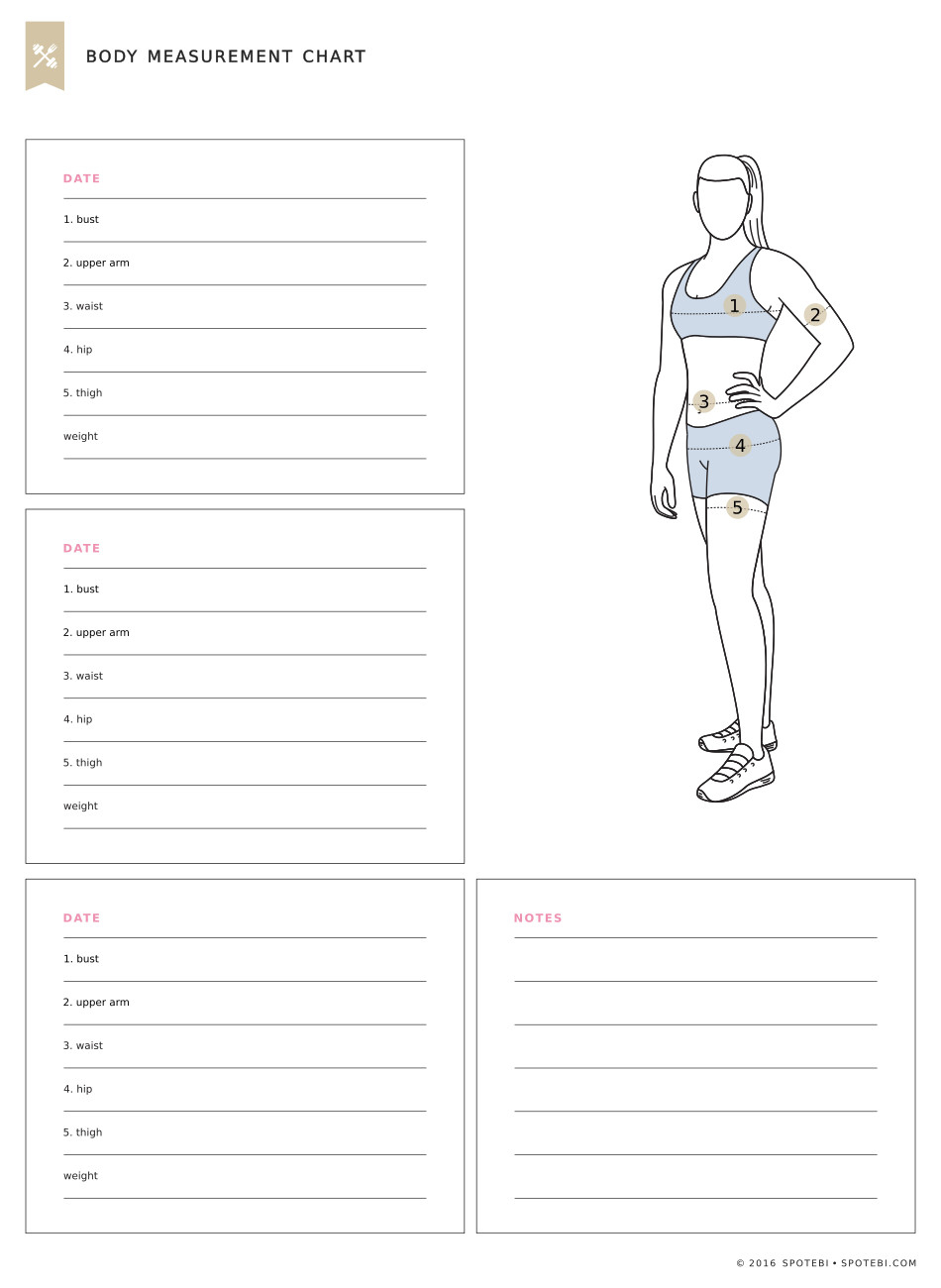 Body Measurement Chart Printable | Room Surf