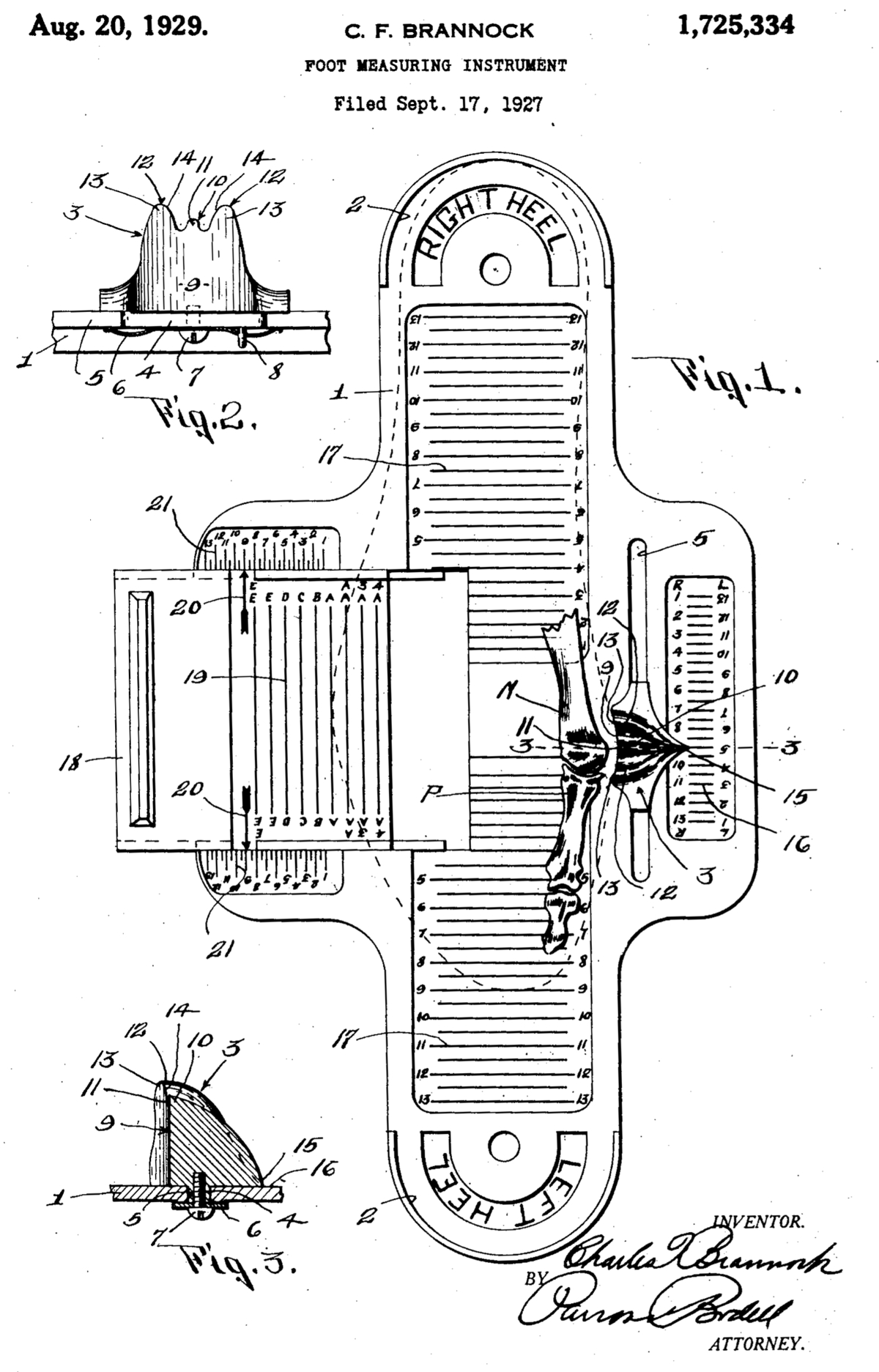 Brannock Device - Wikipedia - Printable Ruler Actual Size