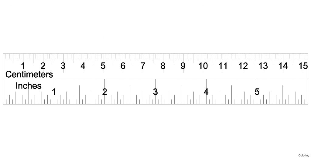 free printable ruler on both edges