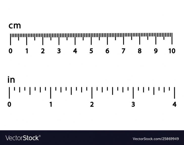 pictures of rulers in inches