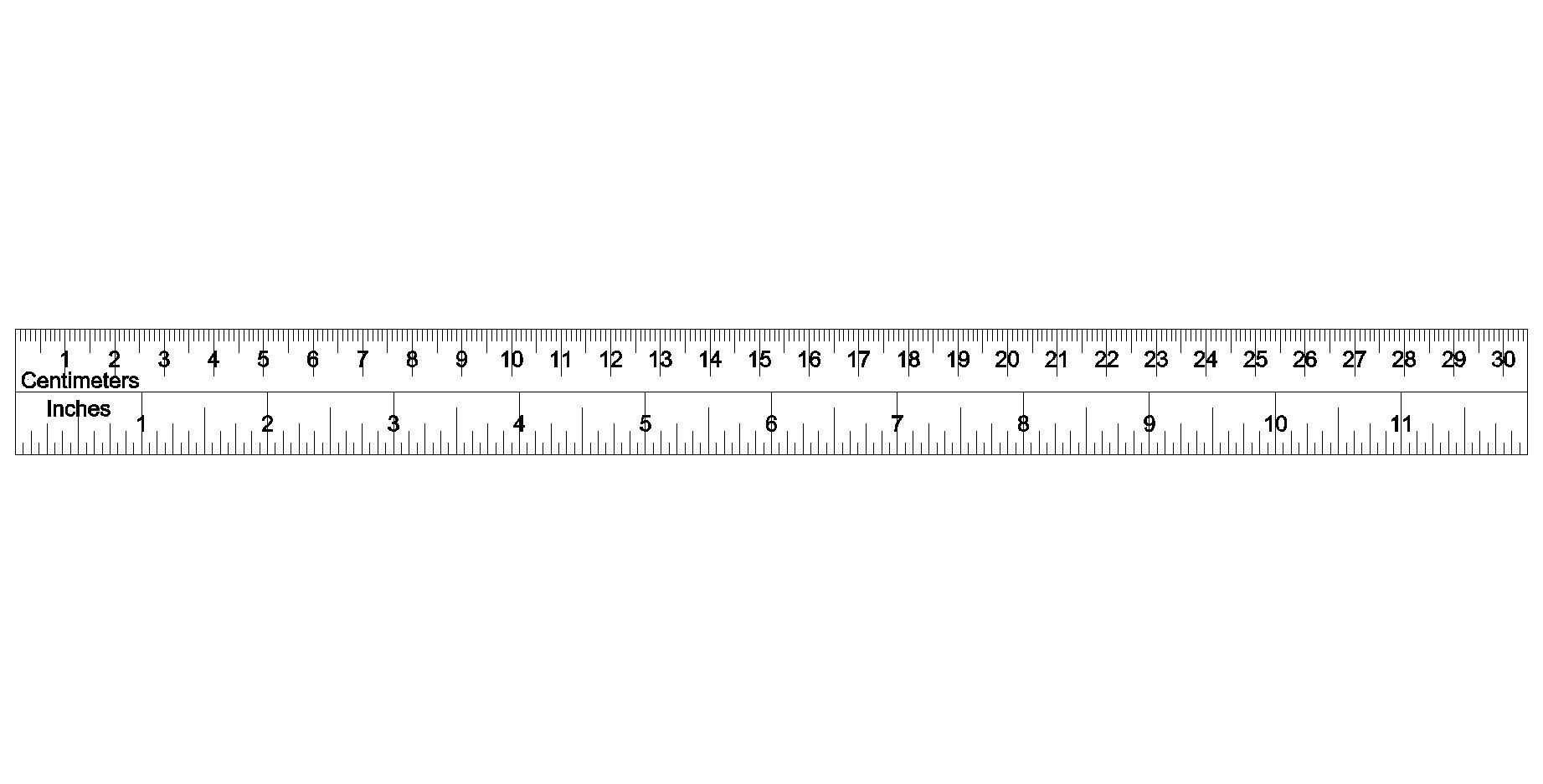 rulers life size 12 inch