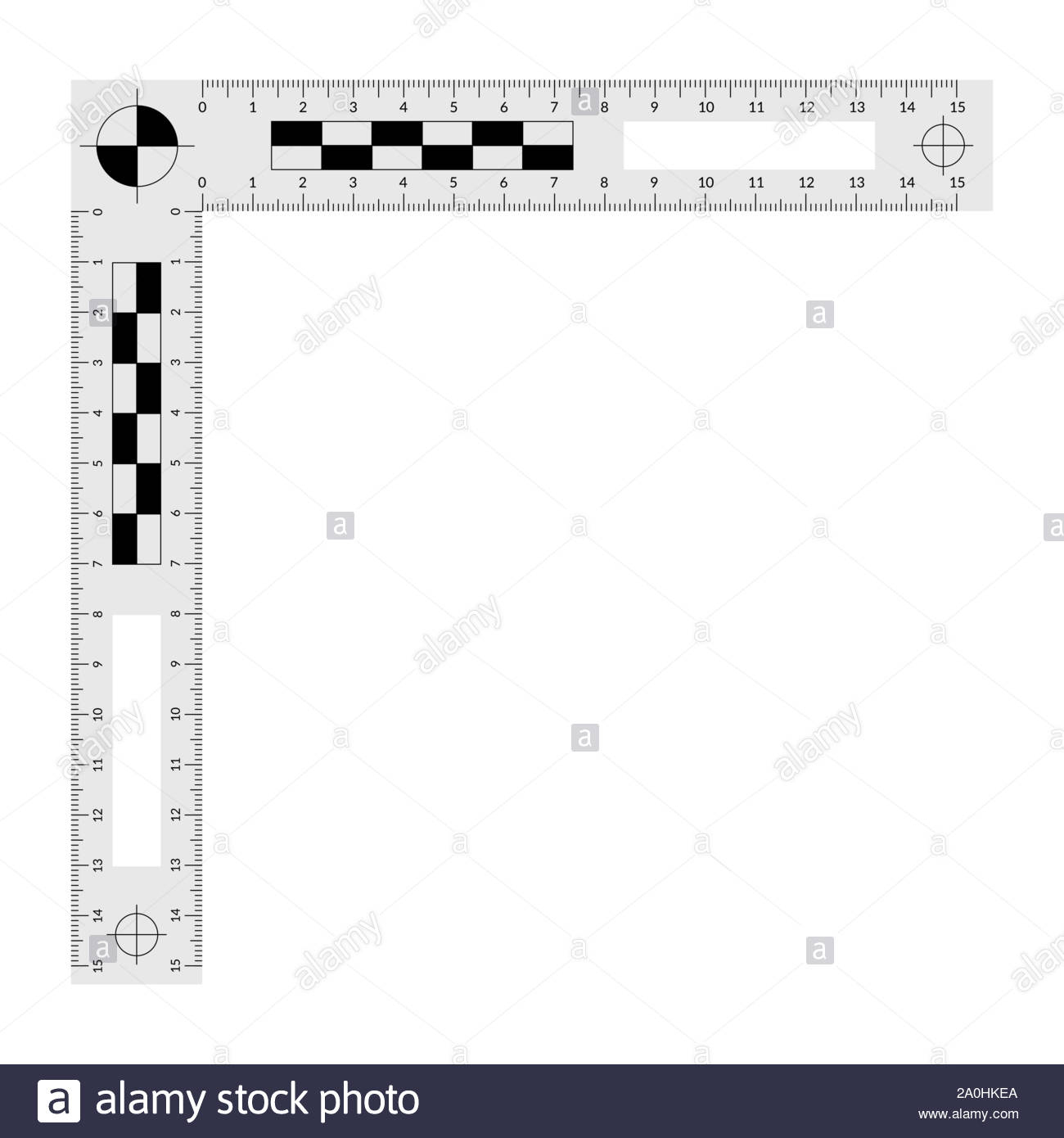 actual-size-forensic-ruler-printable-printable-word-searches