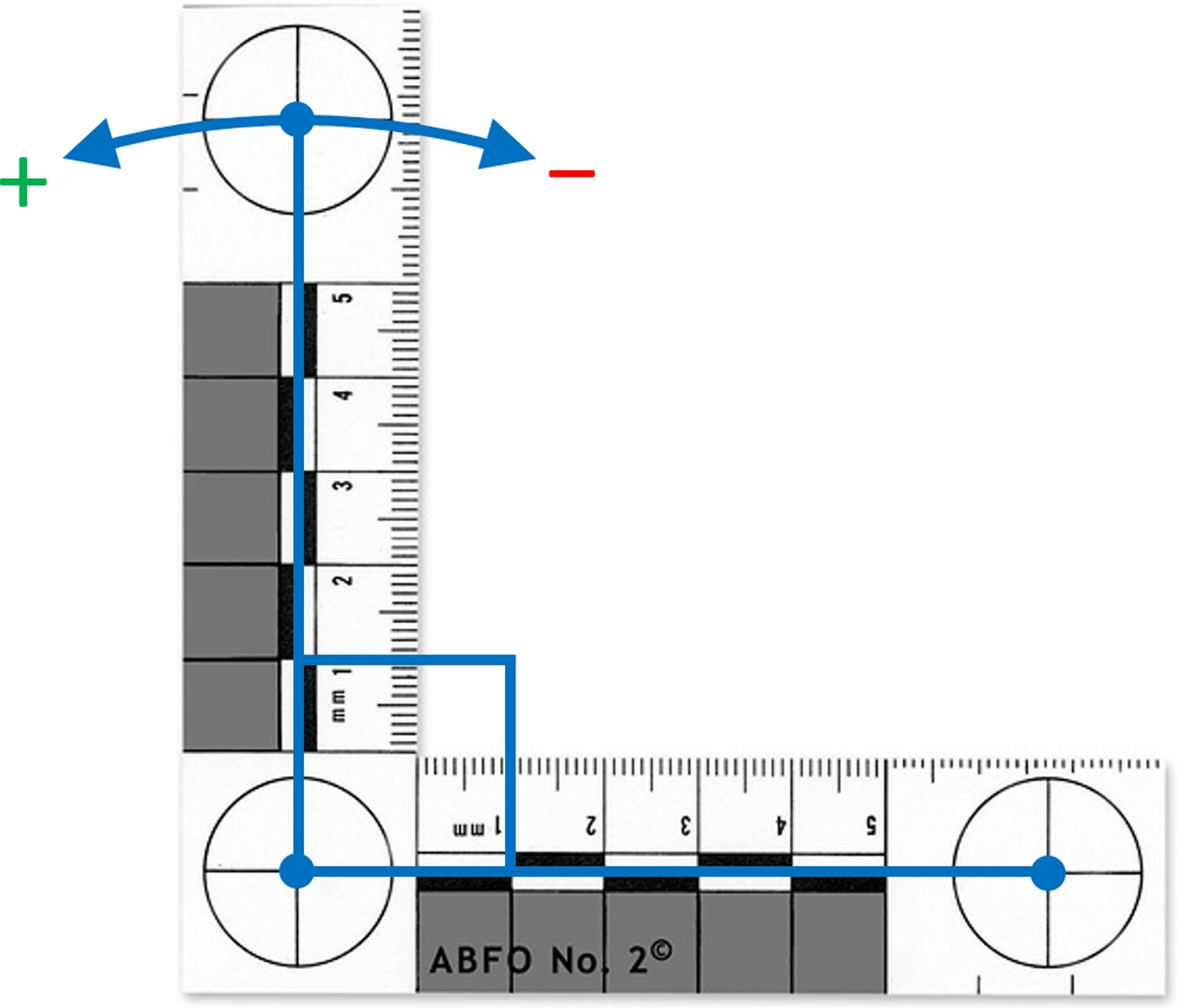 Dimensional Review Of Scales For Forensic Photography