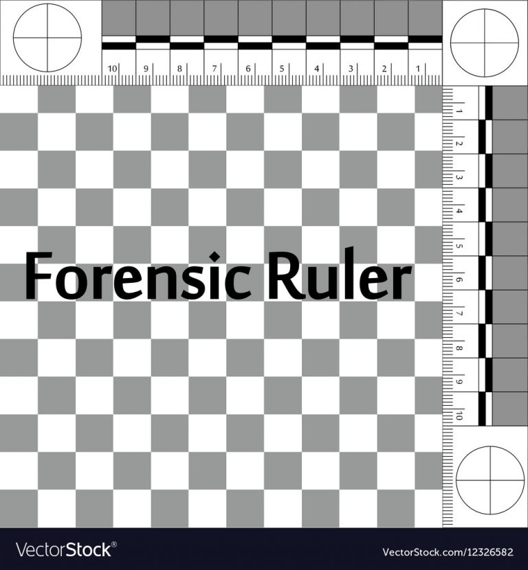 Forensic Ruler Csi Printable Ruler Actual Size