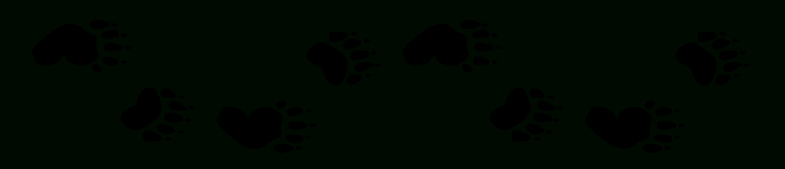 Free Bear Foot Print, Download Free Clip Art, Free Clip Art