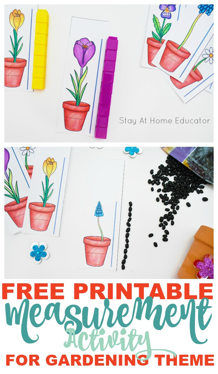 Free Flower Height Measurement Printable For Preschoolers