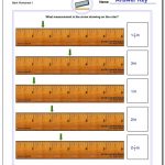 Inches On Ruler Wholes And Halves 1 Worksheet #inches