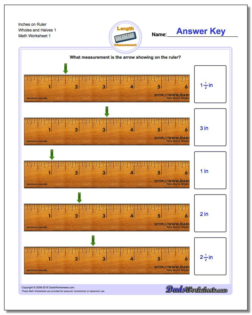 Inches On Ruler Wholes And Halves 1 Worksheet #inches