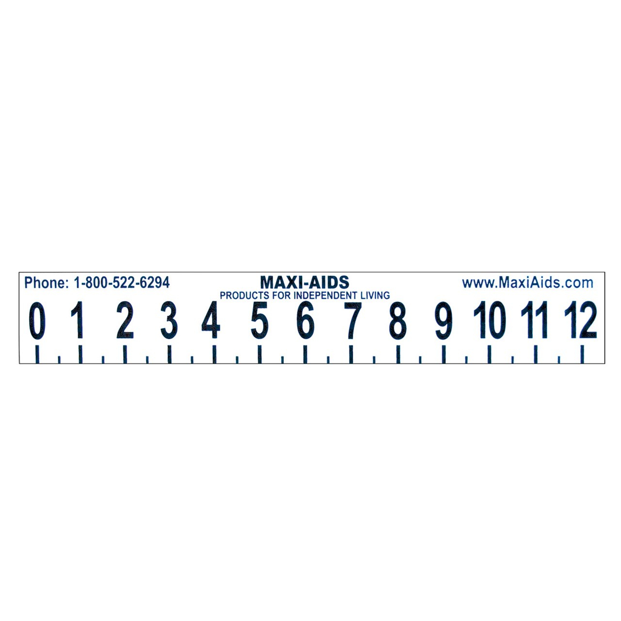 Large Print 12 Inch Ruler With Braille Illustrated Alphabet On Reverse -Not  Tactile-Educational