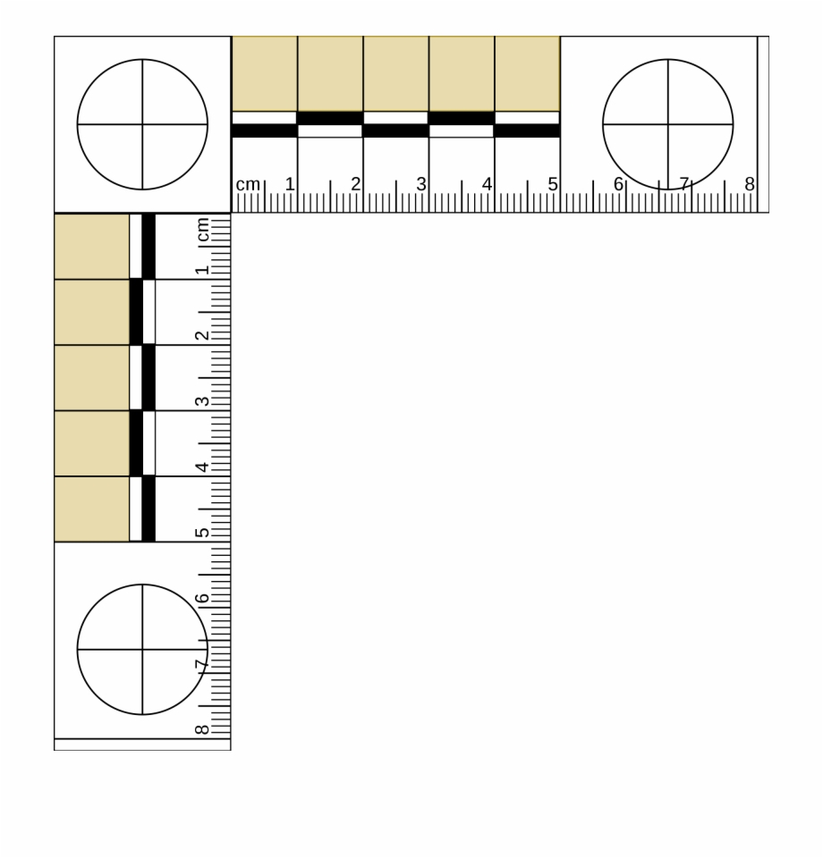 Mm Ruler Actual - Forensic Ruler | Transparent Png Download