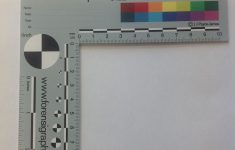 Printable Microscope Ruler