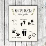 Nursery Art Printable, Animal Tracks Poster, Woodland