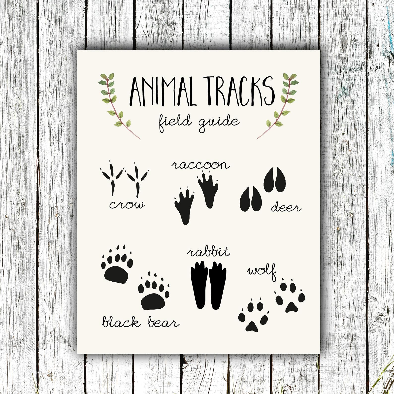 Nursery Art Printable, Animal Tracks Poster, Woodland