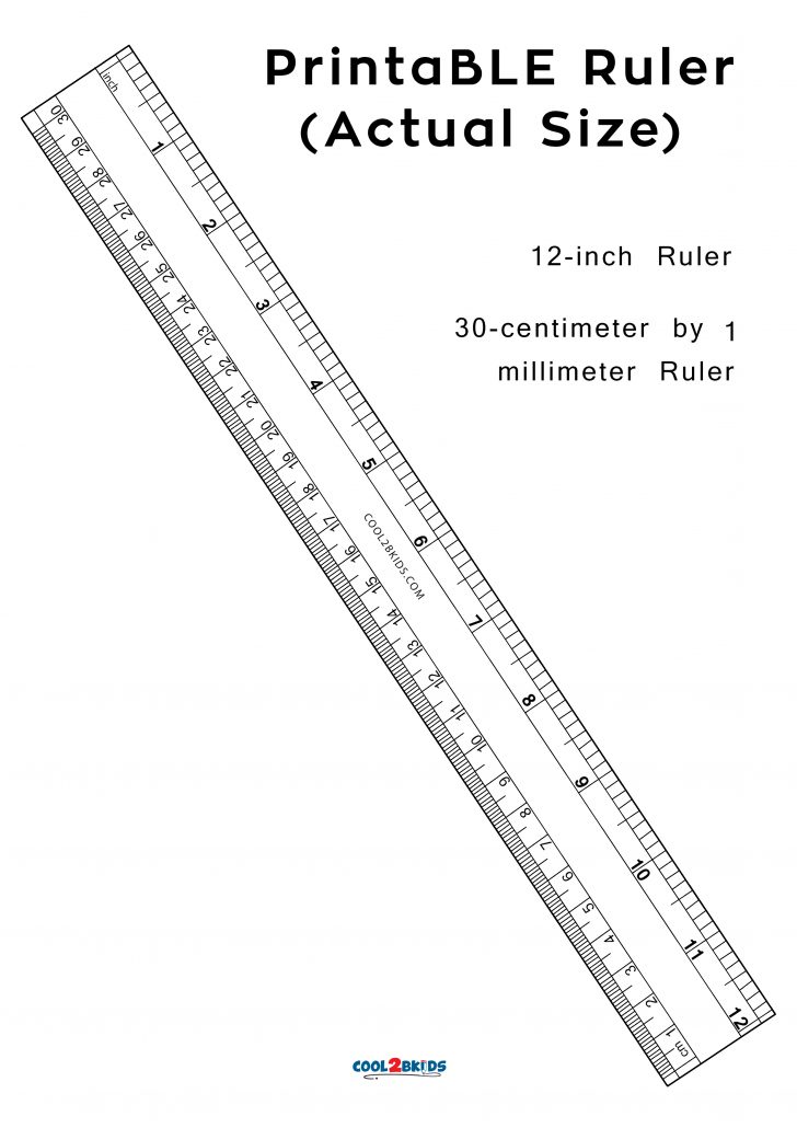 12 inch ruler actual size