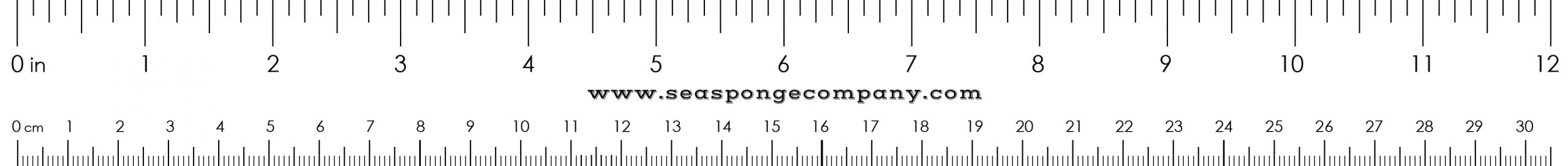 Ruler Clipart Life Size, Ruler Life Size Transparent Free