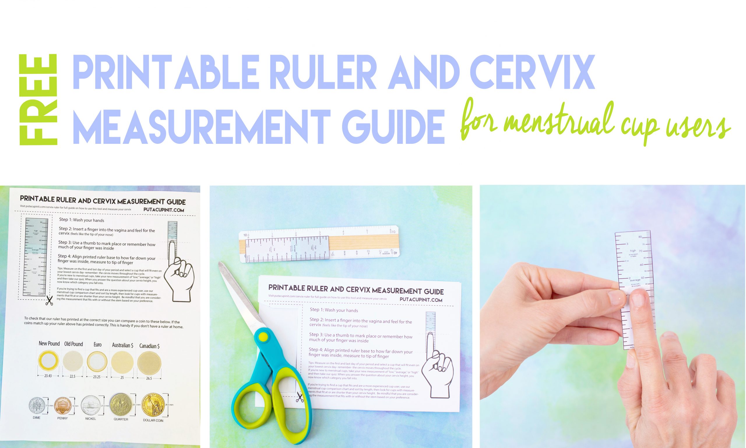 Ruler For Measuring Your Cervix [Free Printable] - Put A Cup