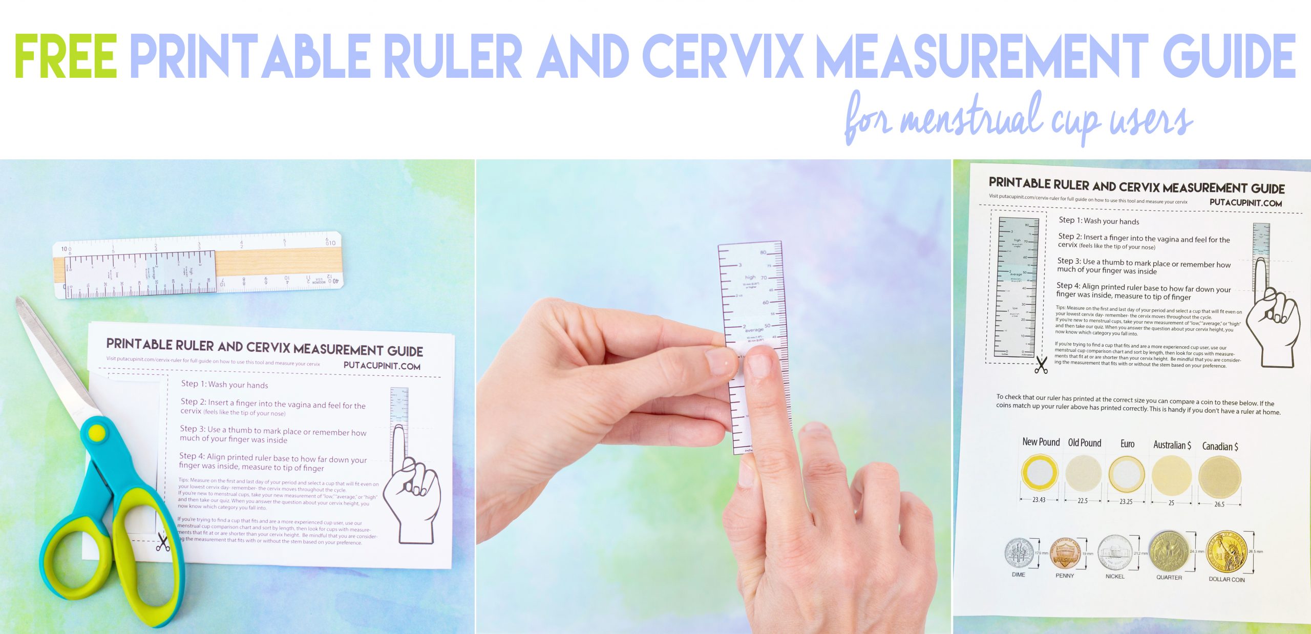 Ruler For Measuring Your Cervix [Free Printable] - Put A Cup