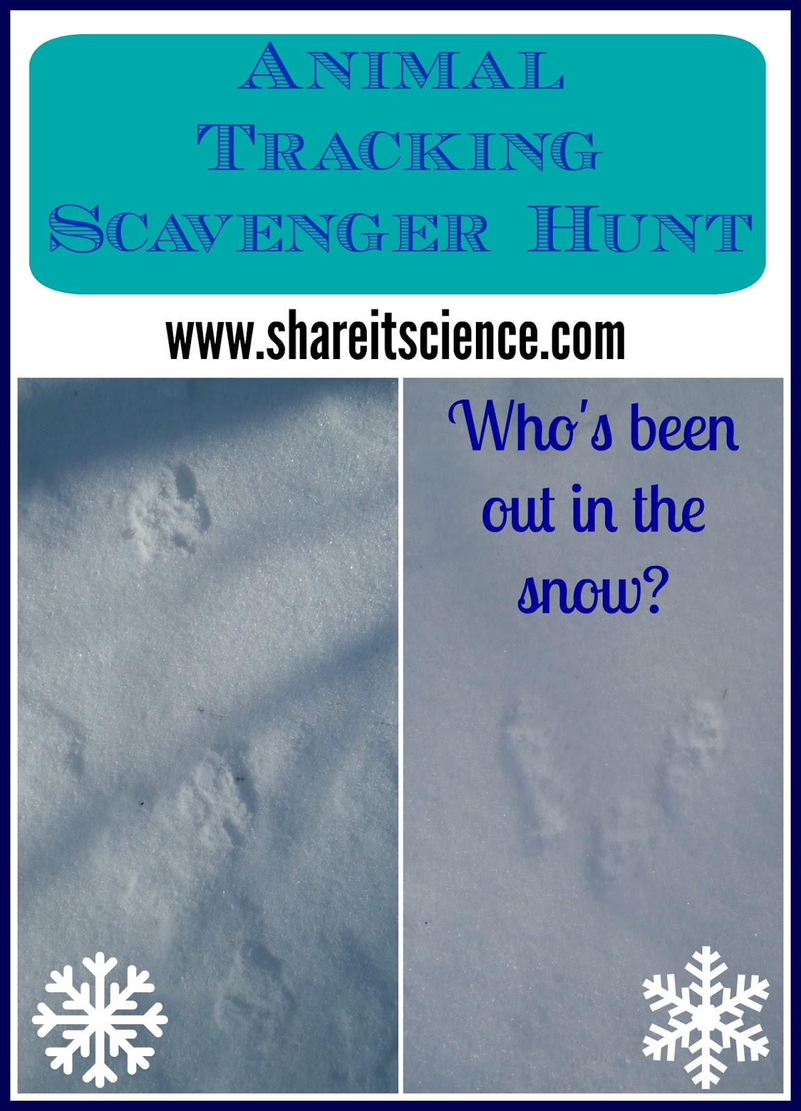 Share It! Science : Animal Tracking Scavenger Hunt