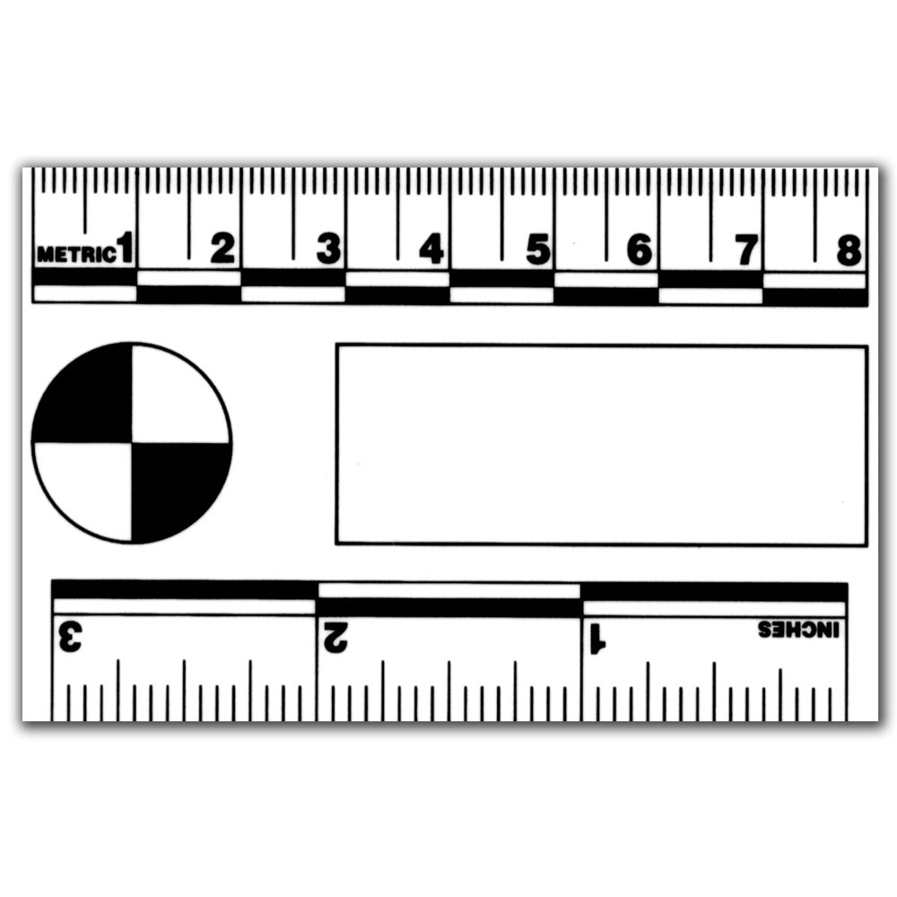 Actual Size Forensic Ruler Printable - Printable Templates