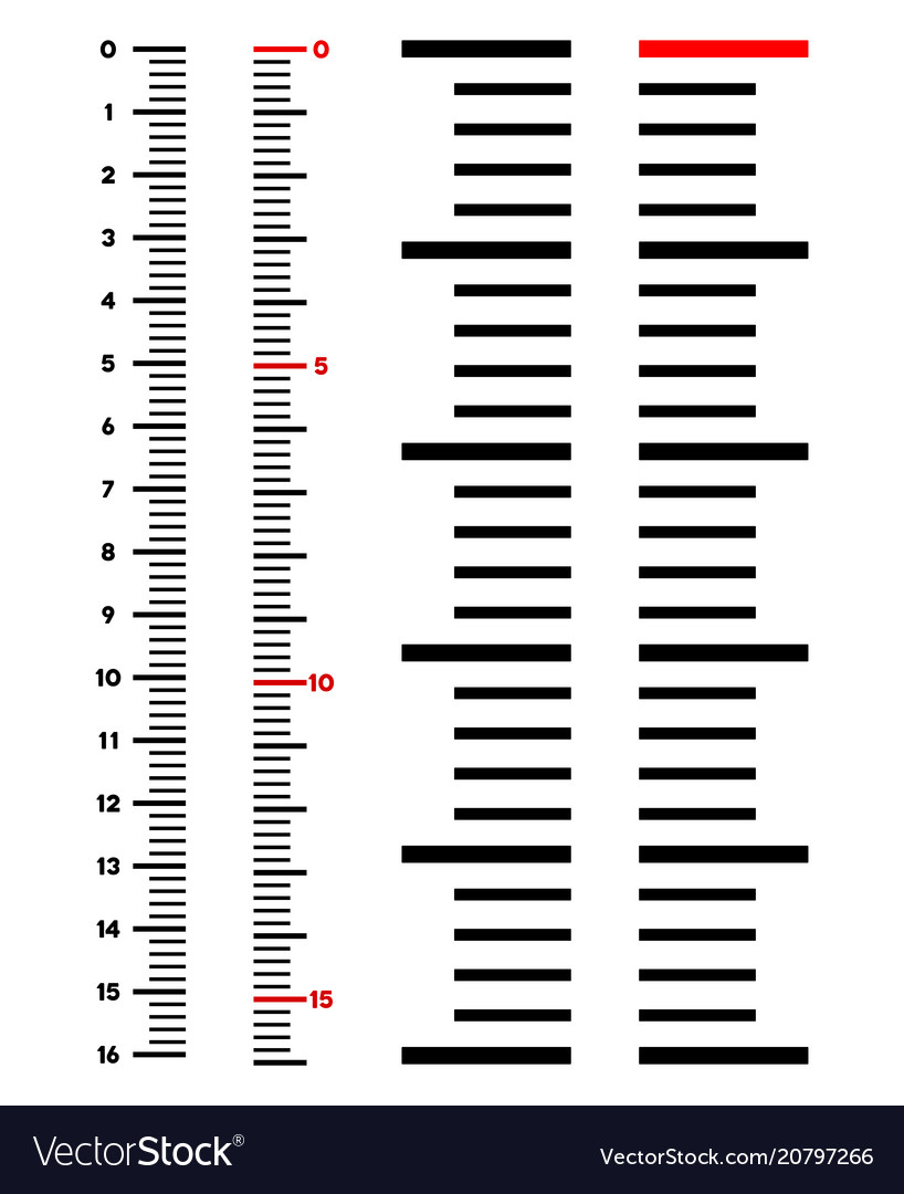 Vertical Meter Ruler